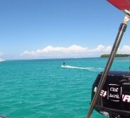 Two engine family – 15 June