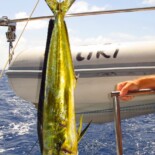 Can you say sushimi! back to St Marteen- 29 June