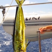 Can you say sushimi! back to St Marteen- 29 June