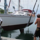 Day 9 Life Goes on Back in the Water – 16 Aug