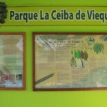 yoga road trip – 18 nov 2012